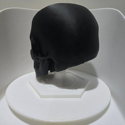 Helmet / Beret / Hat Skull Stand | 3D Printed